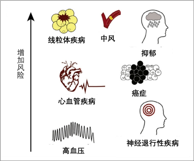 無(wú)創(chuàng)呼吸機(jī)